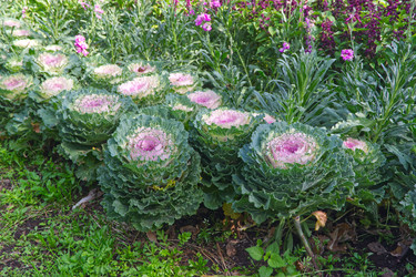 Similar image 22555410