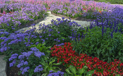 Similar image 22555411