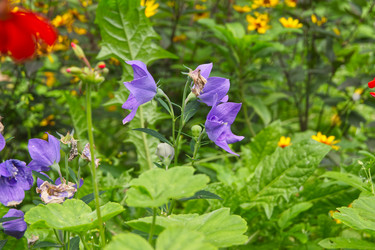 Similar image 22553618