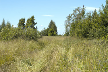 Similar image 22561966