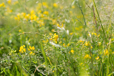 Similar image 22561967