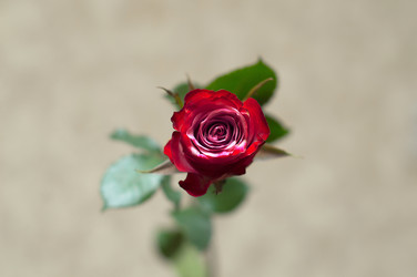 Similar image 22561970