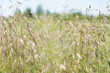 Similar image 22561971