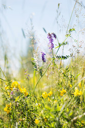 Similar image 22561989