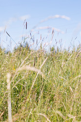 Similar image 22561990