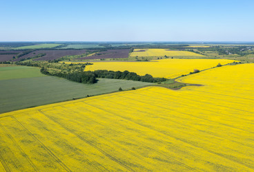 Similar image 22591498