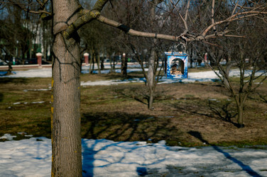 Similar image 22555415