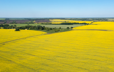 Similar image 22591499