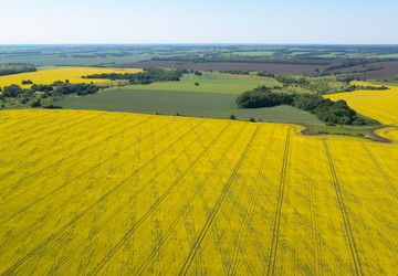 Similar image 22591500