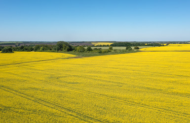 Similar image 22591501