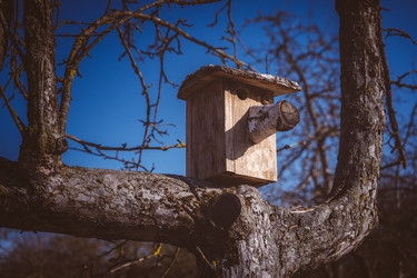 Similar image 22555423