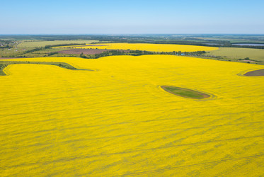 Similar image 22591502