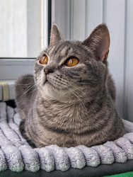 Similar image 22558882