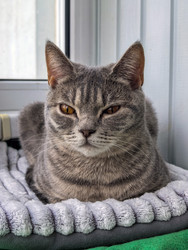 Similar image 22558883