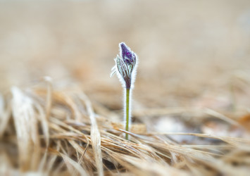 Similar image 22591503