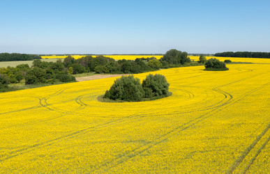 Similar image 22591510