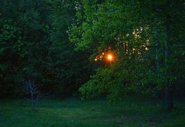 Similar image 22591511