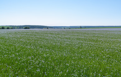 Similar image 22591512