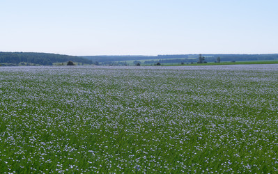 Similar image 22591513