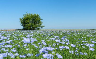 Similar image 22591514