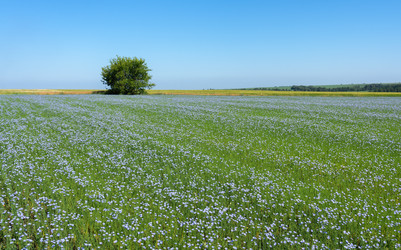 Similar image 22591515