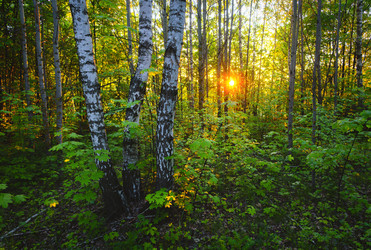 Similar image 22591516