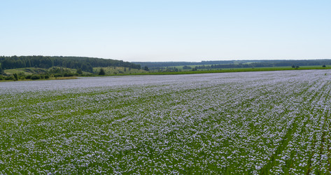 Similar image 22591518