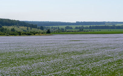 Similar image 22591519