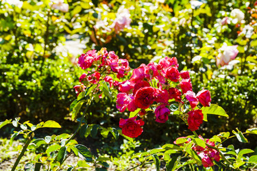 Similar image 22591255