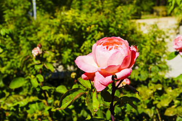 Similar image 22591257