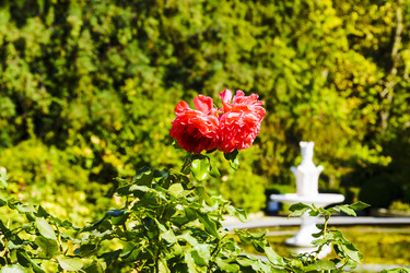 Similar image 22591259