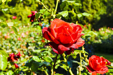 Similar image 22591263