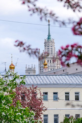 Similar image 22555499