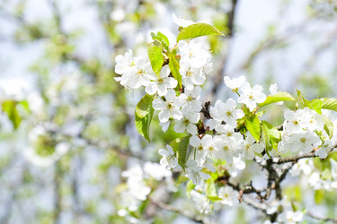 Similar image 22555501