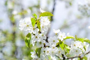 Similar image 22555502