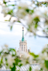 Similar image 22555505