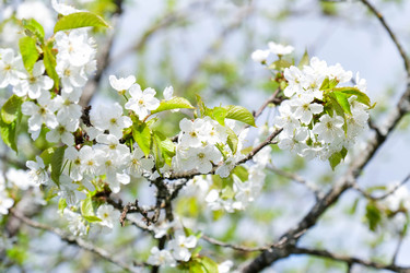 Similar image 22555506