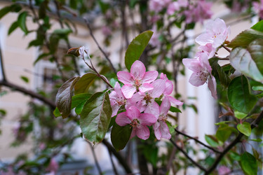 Similar image 22555836