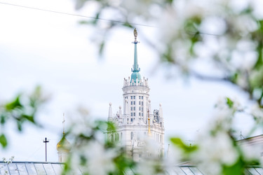 Similar image 22555837