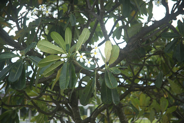 Similar image 22556001