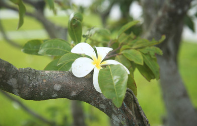 Similar image 22556002