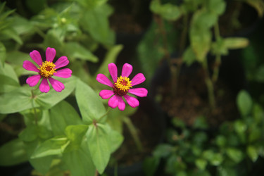 Similar image 22556003