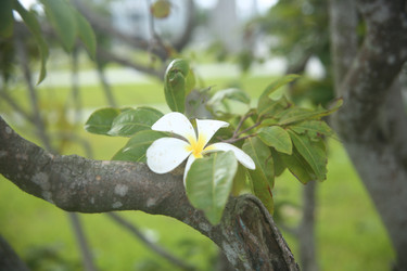 Similar image 22556004