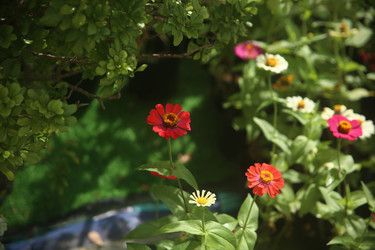 Similar image 22556005