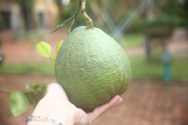 Similar image 22556006