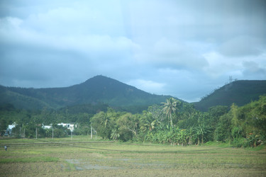 Similar image 22561757