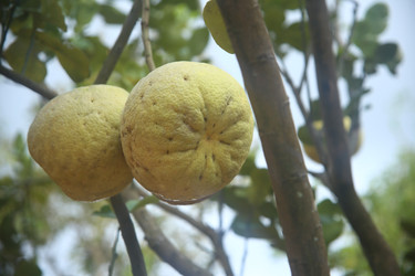 Similar image 22556007