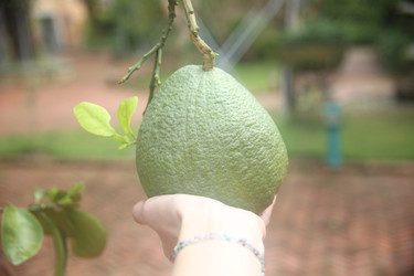 Similar image 22556008