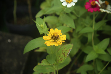 Similar image 22556009