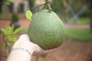 Similar image 22556010